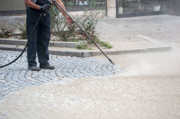 Best Fence Cleaning  in Riviera Beach, FL